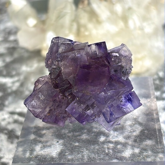 Pyrite Fluorite from Ojuela Mexico 🇲🇽 OM04